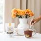The Chai Box - Sweet Monsoon - Premium Chai Tea - Featured In Oprah'S Favorite Things - Loose Leaf Black Tea W/Sweet Mangoes, Lu