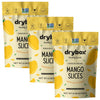 Freeze Dried Fruit Mango Snack - (0.56 oz) Single Pack - Dry Fruit for On the Go Snacking - Dehydrated Lightweight Pantry Snack 