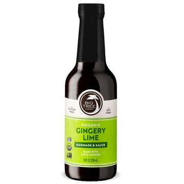 Big Tree Farms Organic Coco Aminos - Liquid Coconut Aminos, Soy-Free Sauce, Low Sodium, Soy Alternative, Gluten Free, Kosher, Ma
