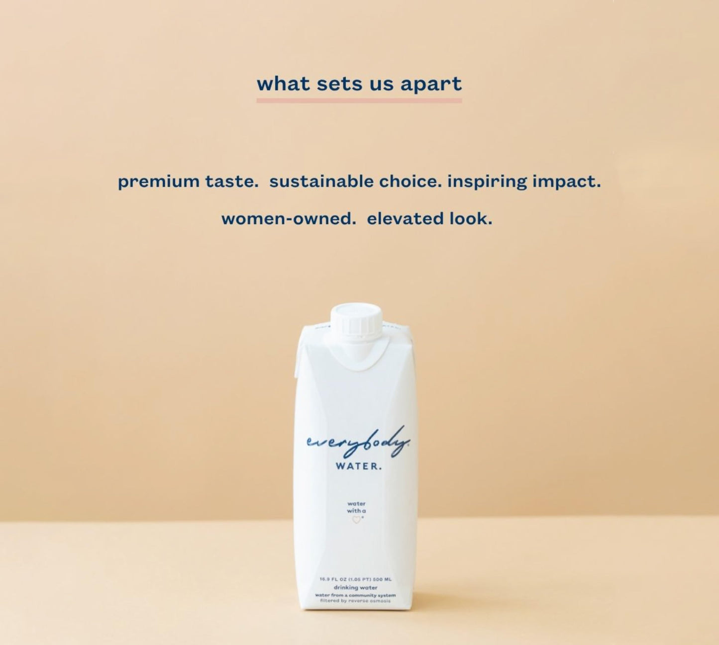 Everybody Water  Boxed Water  enhanced Filtered Still Waters  12 Pack Reverse Osmosis  Bulk Eco-Friendly  BPA Free  Fully Recyclable Plant Based Carton - Certified Woman Owned 16.9 Fl Oz / 500ml Carton (Pack of 12)