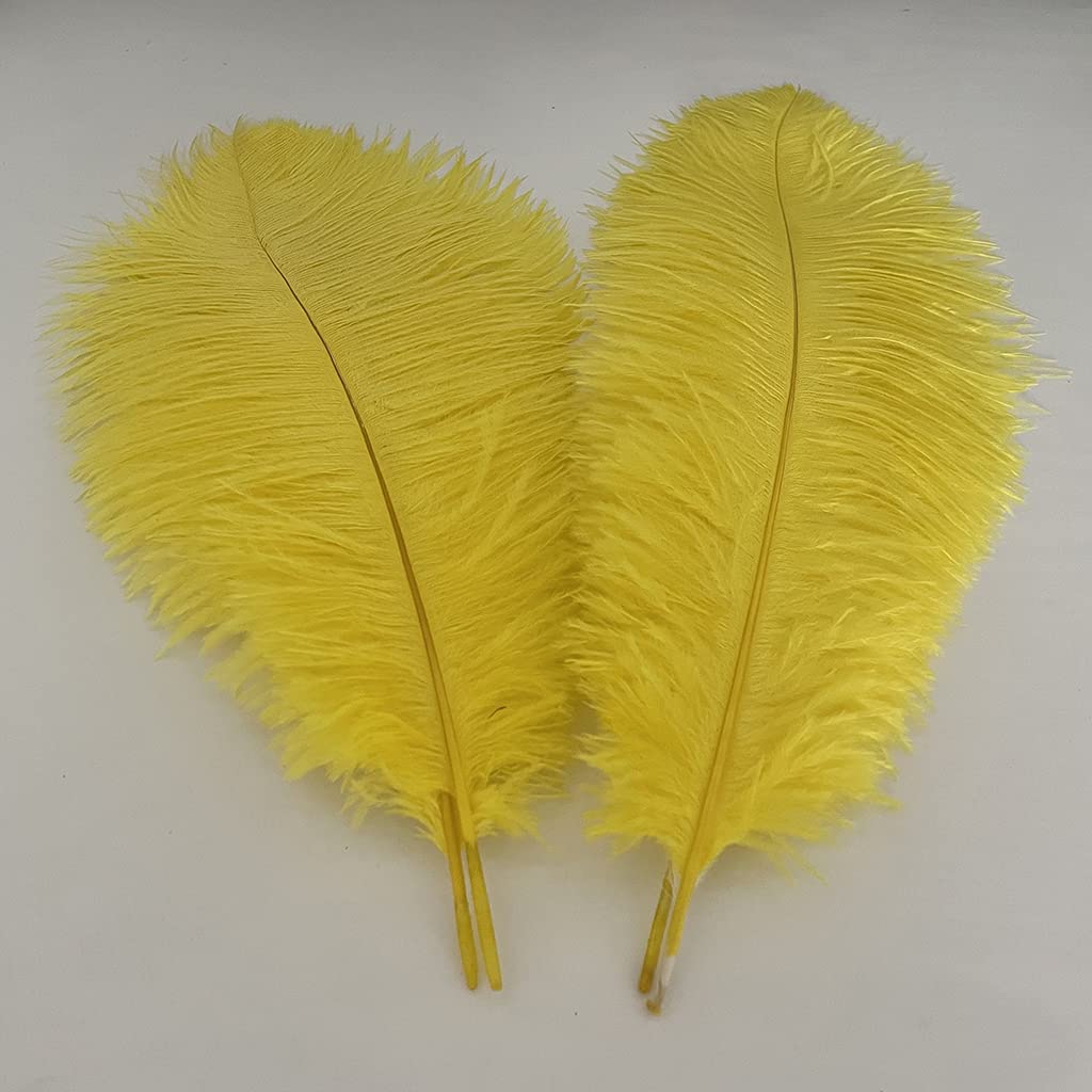 Londgen 10Pcs Natural Ostrich Feathers Plumes 14-16Inch(35-40Cm) For Craft Flower Arrangement Wedding Decoration And Halloween P