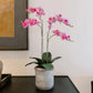 CG Hunter Faux Pink Orchid Plant, Premium Artificial Indoor Flower Display Stands 24   , Beautiful Sculptural Blooms That Lasts 
