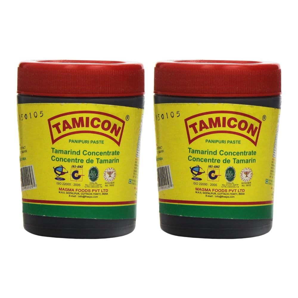 Tamicon Pani Puri Paste | Indian Authentic Street Food | Spicy Masala Paste to Mix in Water | Mouth Watering Paste for Family Ga