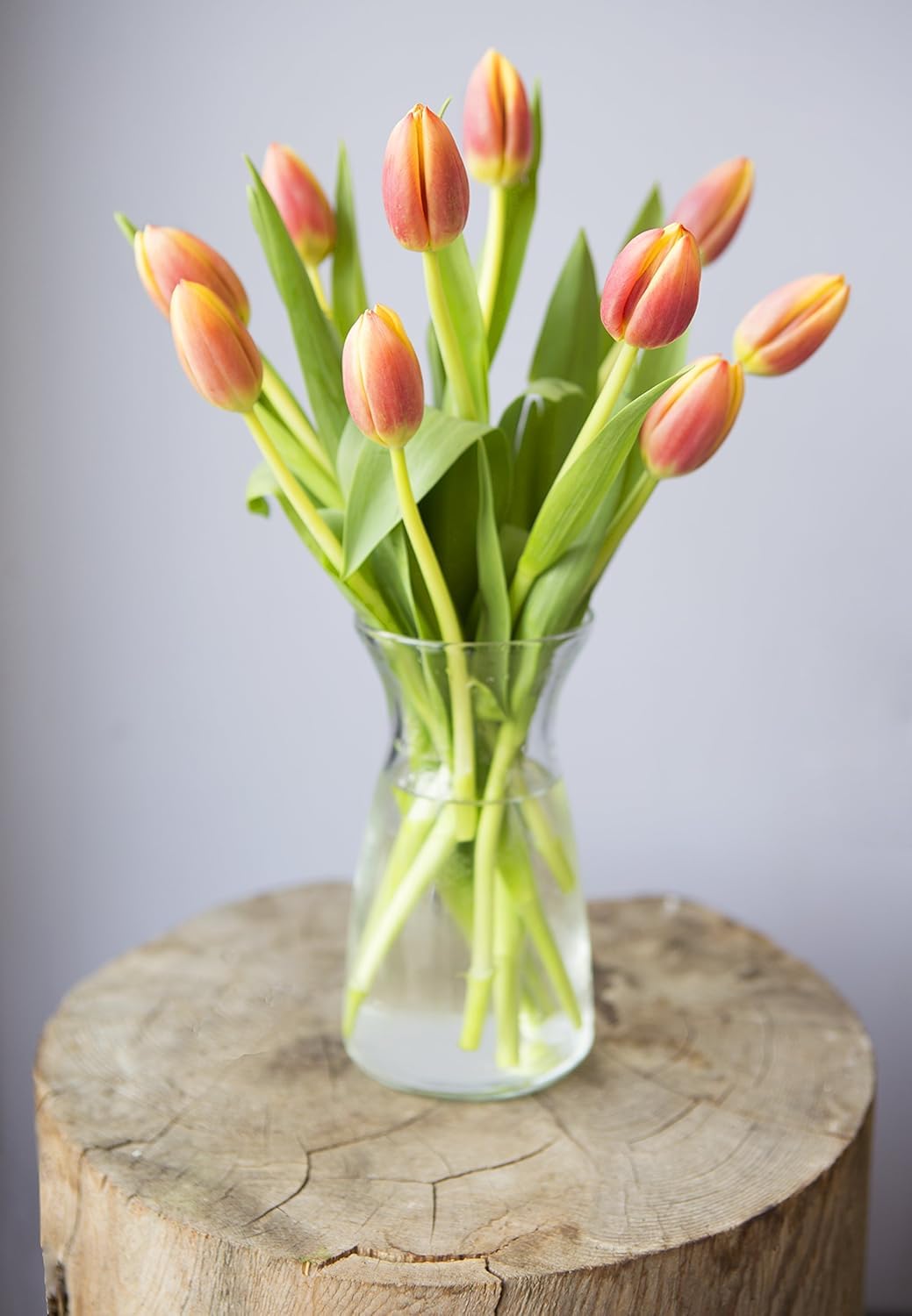 Kabloom Flowers -Valentine'S Day Collection - 10 Orange Tulips With Vase, Gift For Birthday, Sympathy, Anniversary, Get Well, Th