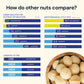 Blueprint Bryan Johnson Nutty Butter - Macadamia & Walnut - Keto Snack, 8.8 oz - Vegan, Non-GMO, No Added Sugar