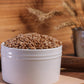 Organic Hard Red Wheat Berries - 3Lbs