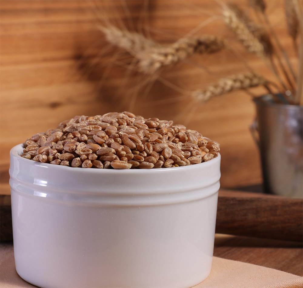 Organic Hard Red Wheat Berries - 3Lbs