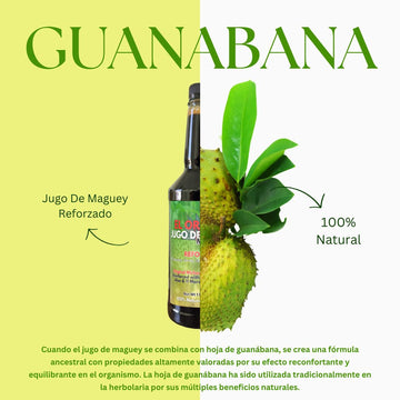 HERBALISTA Maguey Juice with Graviola, Moronel & Aloe - 33 Fl Oz (1 Pack)