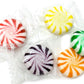 Sweetgourmet Assorted Fruits Hard Candy Pinwheels | 2 Pounds