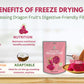 (Pack Of 1) Nokki Farm Freeze-Dried Dragon Fruit 50G | 100% Natural | No Sugar Added | Vegan | Non Gmo | All Natural | Superfood