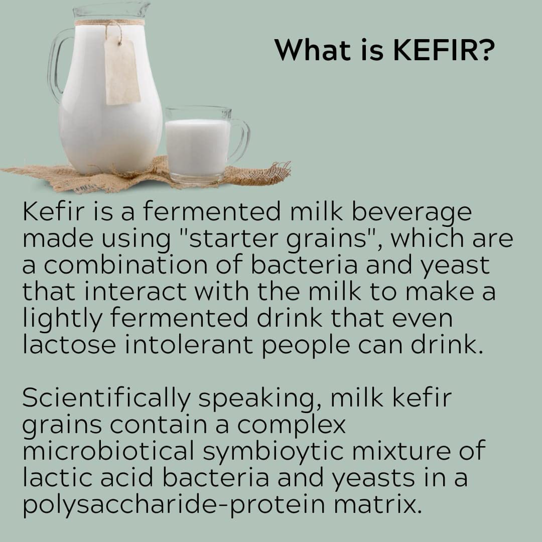 The Spirit Of The Forest Milk Kefir Grains Live Starter 0.16 Ounce Pack