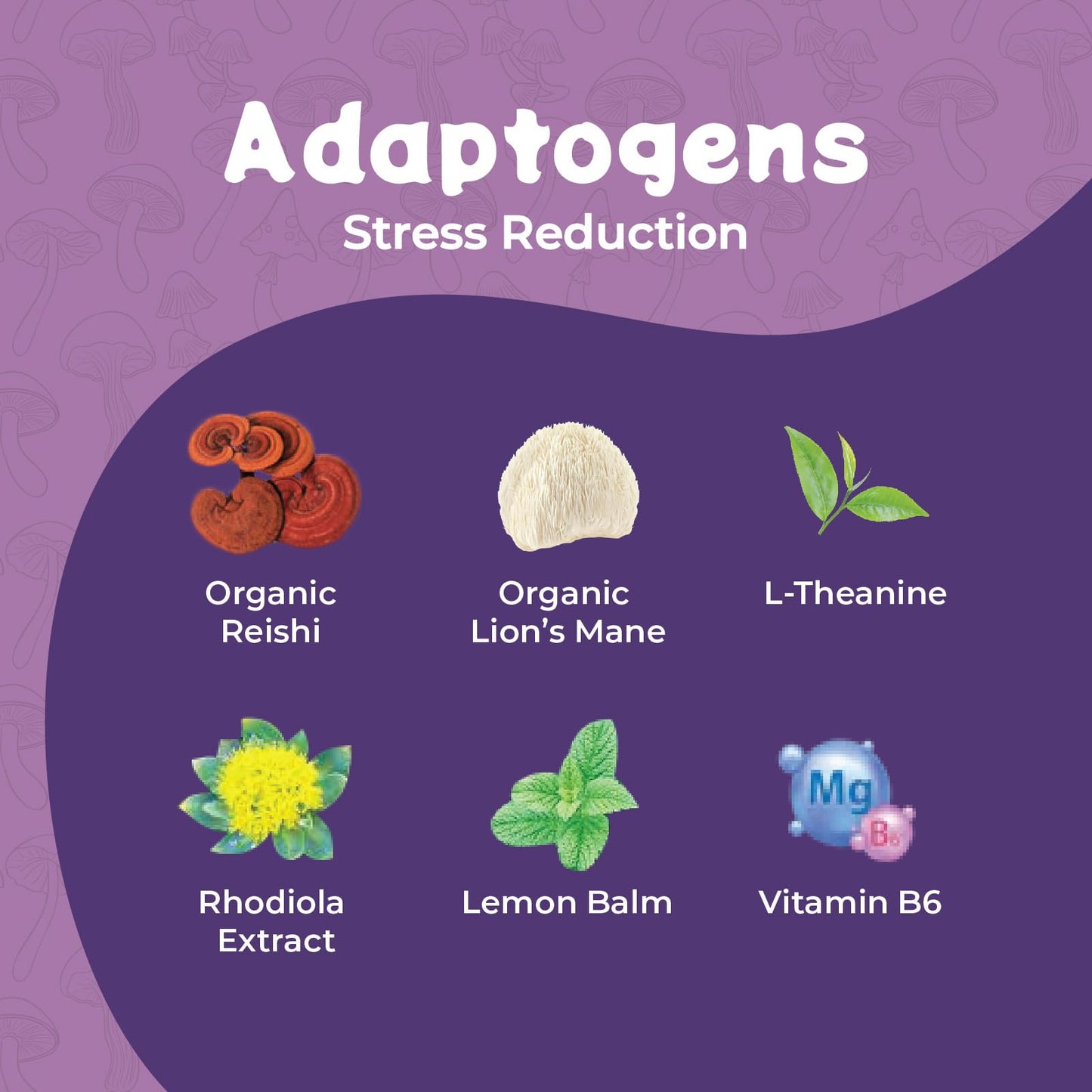 Melting Forest Mushroom D-Stress, Sparkling Adaptogen Drink with L-Theanine, Lions Mane and Vitamin B, Zero Sugar, 5 Calories,