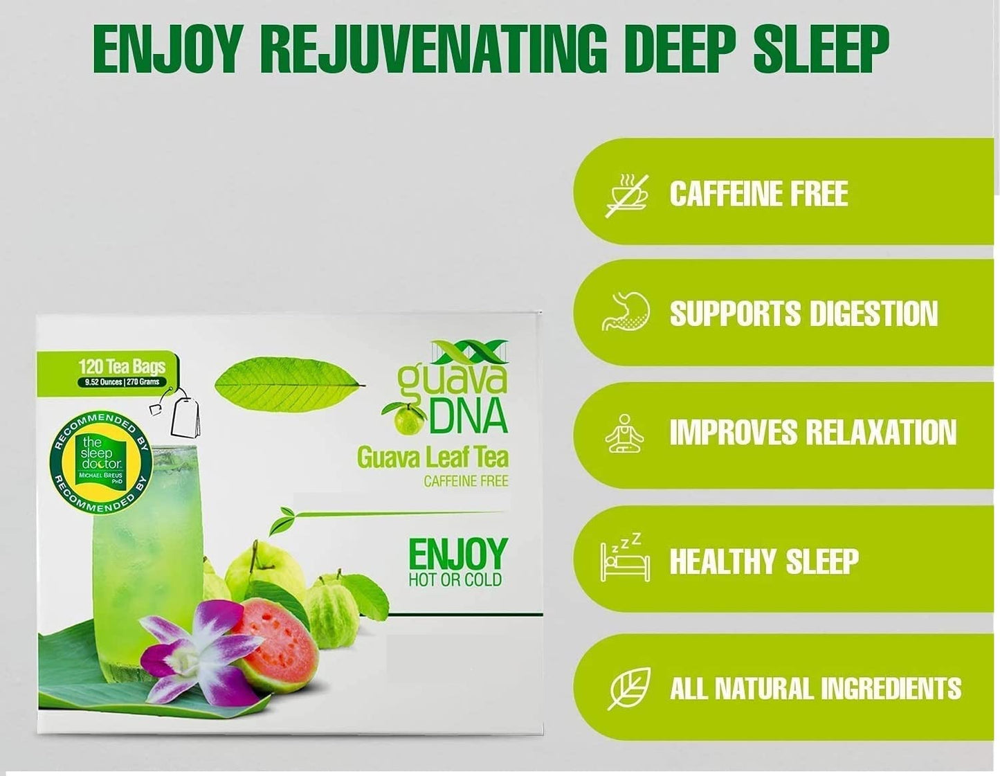 MATCHA DNA Guava Leaf Tea - 100% Pure, 120 Individually Wrapped Teabags, Guava Leaf