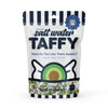 Taffy Shop How Do You Like Them Apples? Sea Salt Caramel Apple Salt Water Taffy Gourmet Soft Chewy Candy, Bulk Sweet Snack, Fres