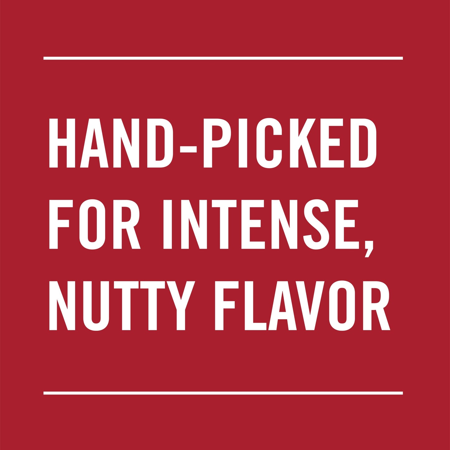 McCormick Ground Nutmeg 16 Ounce - Spice for Baking and Cooking, Flavorful Seasoning
