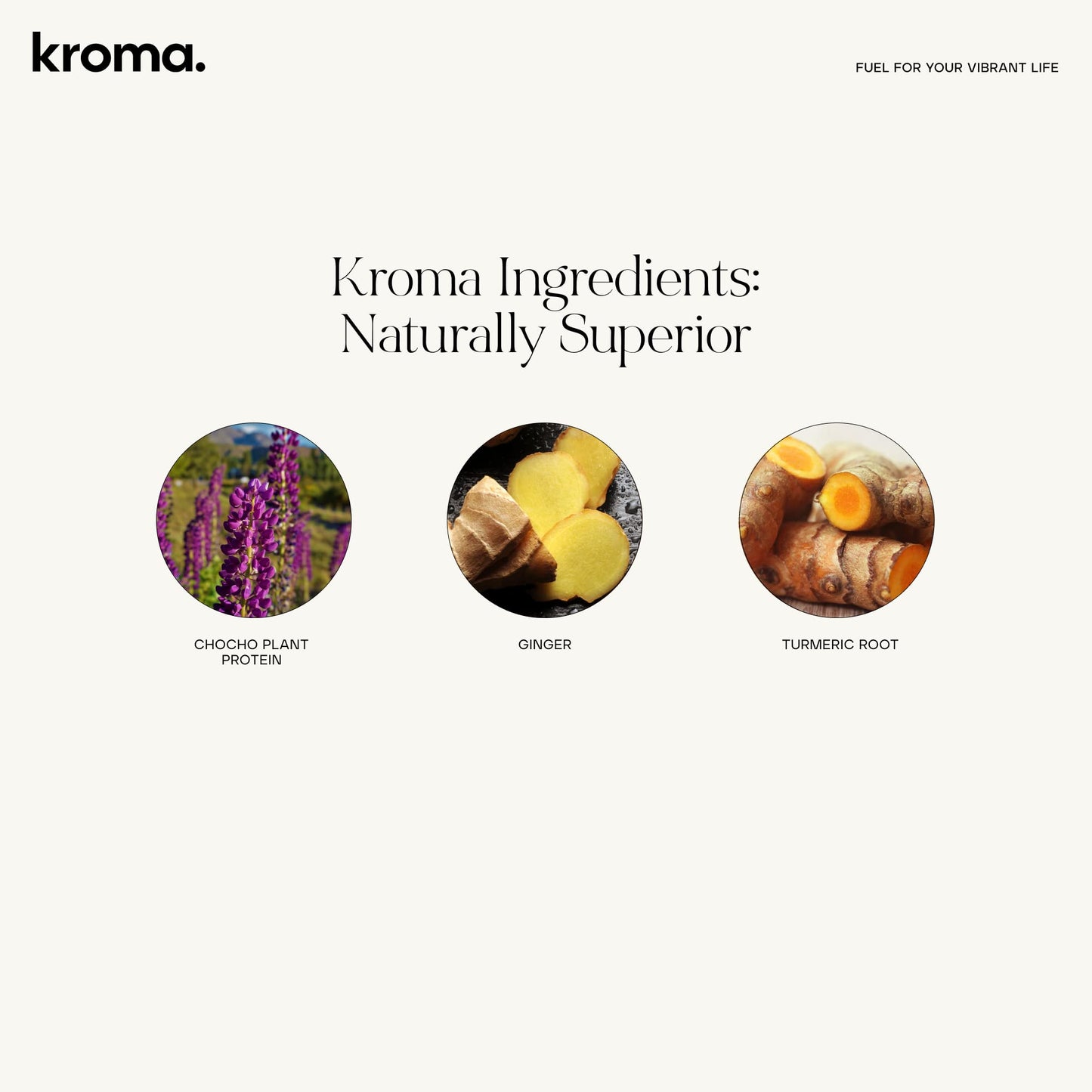 KROMA Vegetable Broth Powder Mix, Gluten Free, Vegan, 7 Packets, Plant Protein, Organic Ingredients