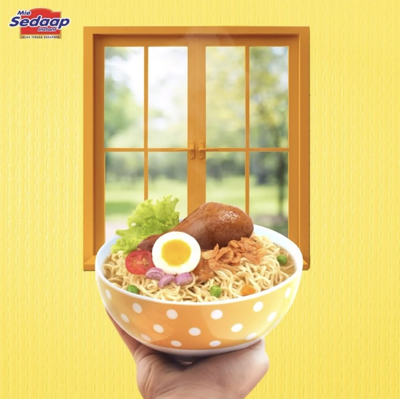 Mi Sedaap Instant Noodles, Chicken Onion Flavor, 2.57 Oz (Pack Of 10)
