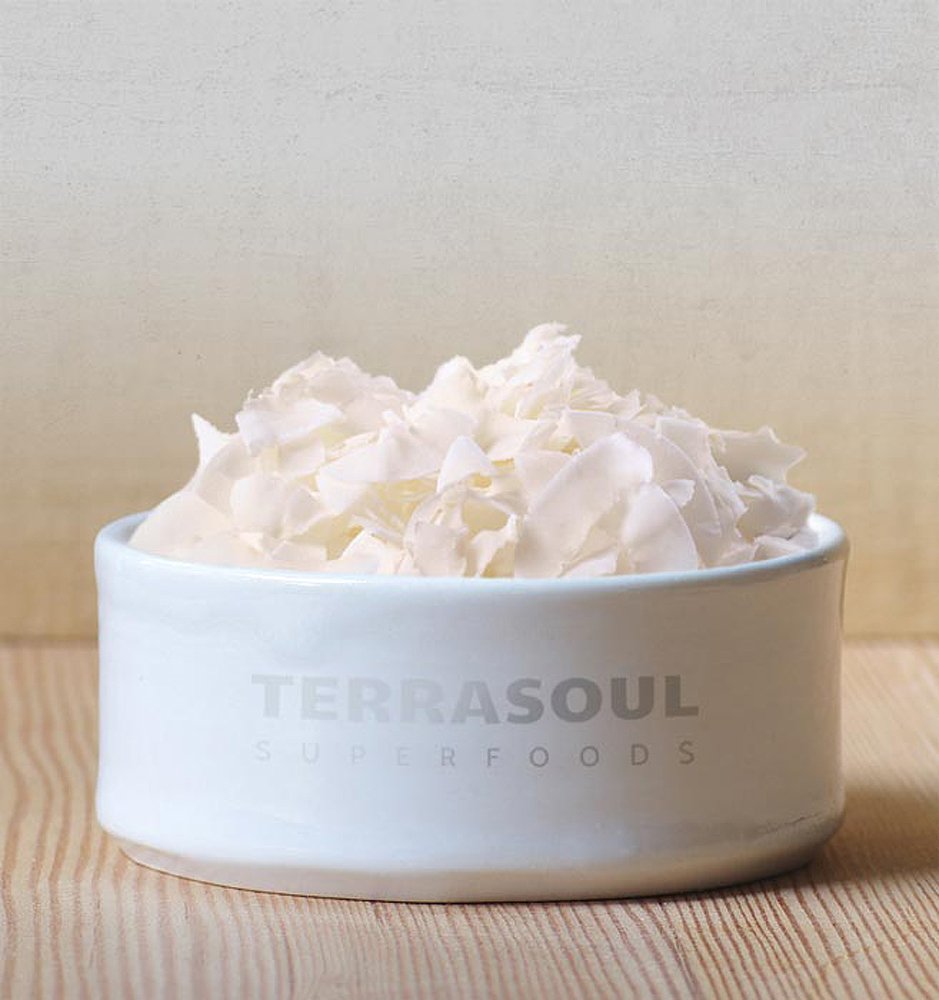 Terrasoul Superfoods Raw Coconut Chips (Organic), 12-ounce