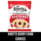 CASI HOME Raspberry Cookies - Bulk Pack of 12 - 2 oz Small Cookies