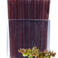 By The Cup Buckwheat Blossom Honey Sticks (Pack Of 50)