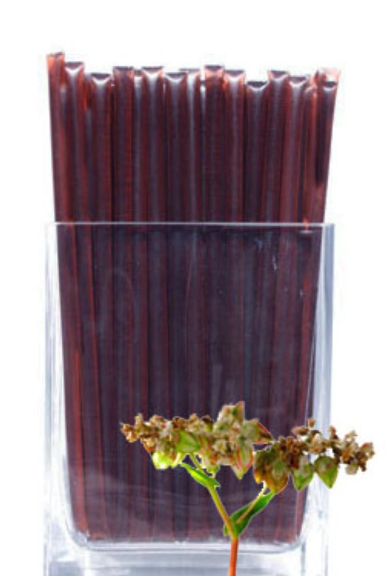 By The Cup Buckwheat Blossom Honey Sticks (Pack Of 50)
