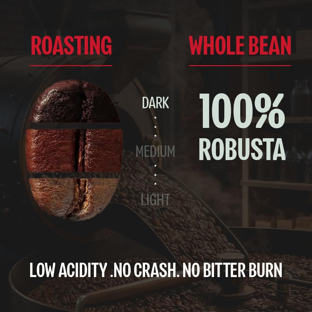 BAZAN COFFEE - Too Strong Robusta Vietnamese Whole Bean Coffee Dark Roast  Single Origin  High Caffeine & Low Acid Coffee  Bold Espresso Coffee Beans for Espresso Lovers  Full Bodied Flavor - 12oz bag