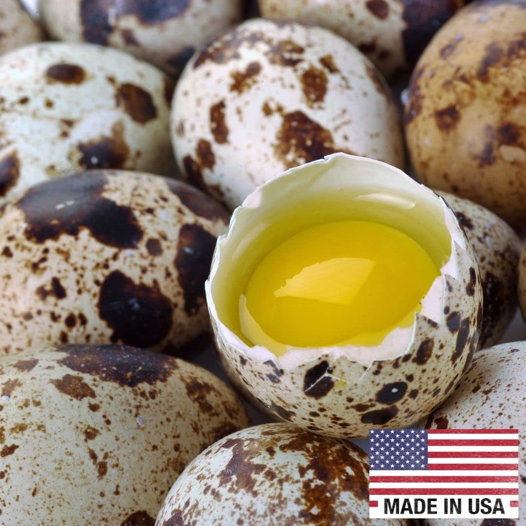 Fresh Quail Eggs(24)
