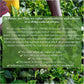 Palais Des Th  S - Paris For You By Day - Parisian Gourmet Green Tea- Notes Of Rose, Raspberry, And Lychee - 20 Count Biodegrada