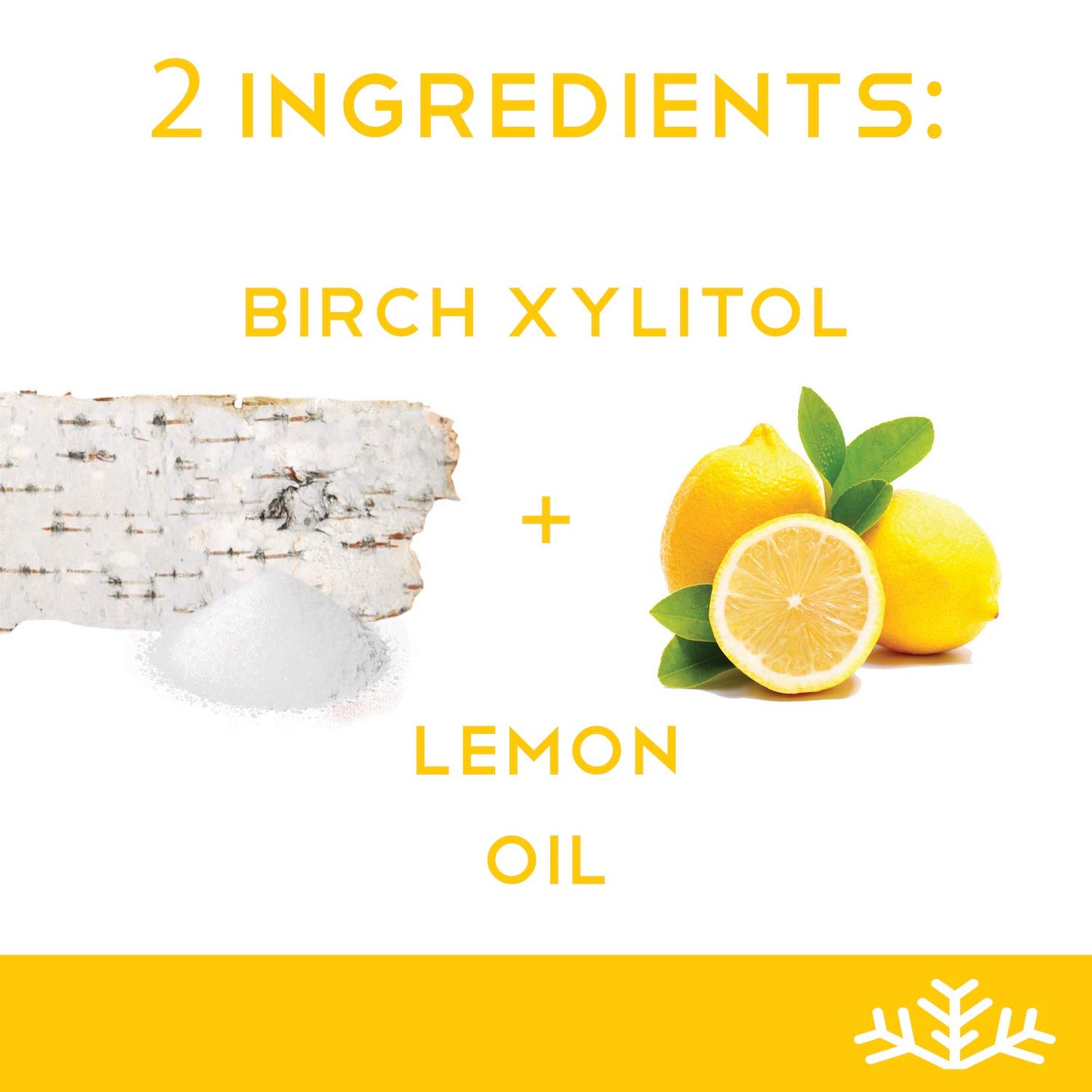 Lemon Xylitol Candy Chips (6-Pack) - Sn 1.5Oz Tins - Handcrafted W/Only 2 Ingredients | Diabetic-Friendly, Non-Gmo, Vegan, Keto,