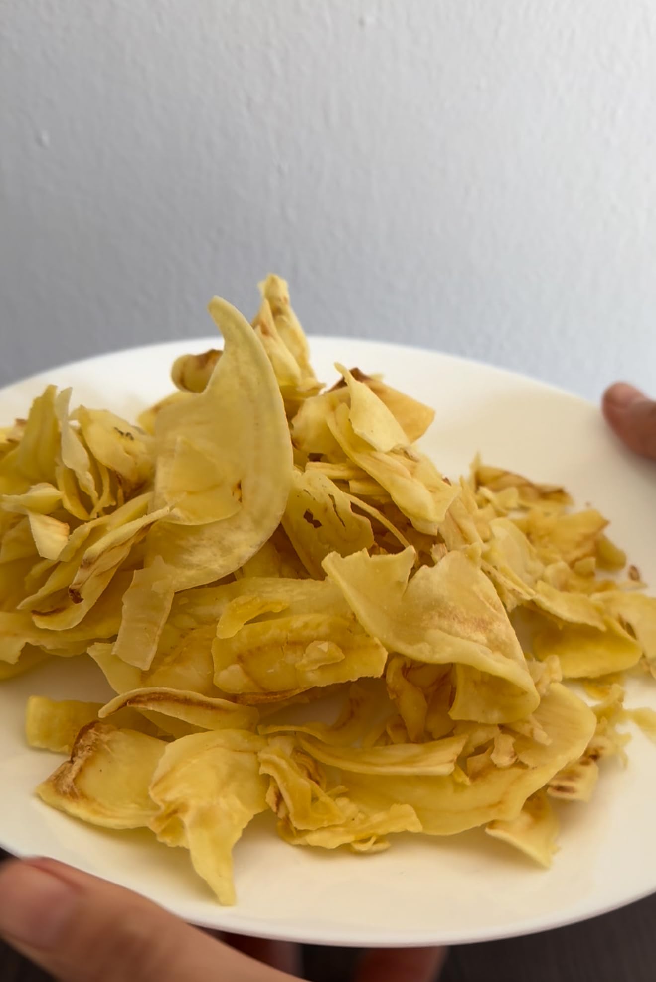 SuperTree Premium Durian Chips, Vacuum Fried, 100% Fruit Snacks, 3.53Oz (100g) Bag, No Additives, Authentic Flavor, Crunchy Texture