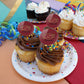 Midwestern Sate Primary Logo Cupcake Picks Toppers Decoration Set Of 6
