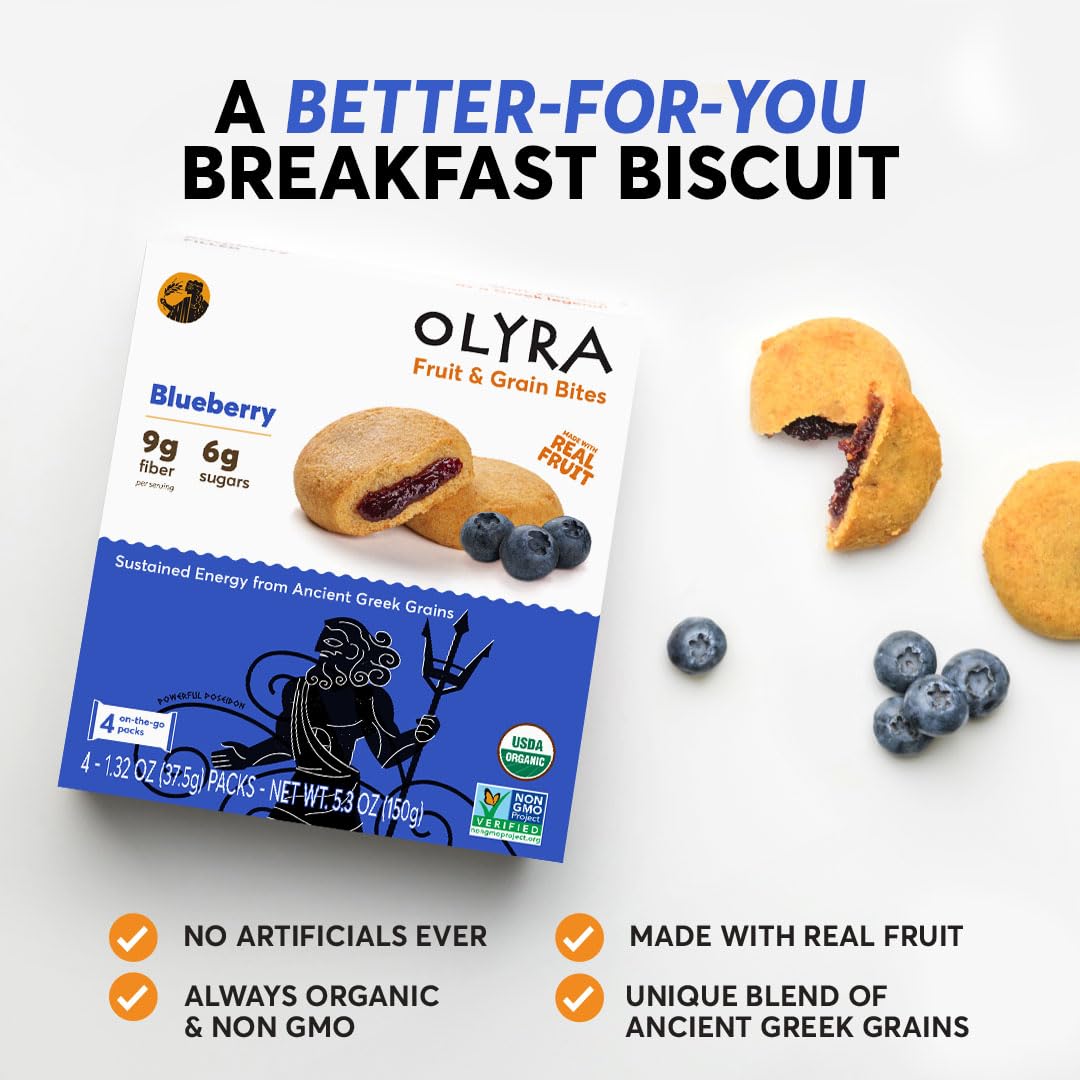 Olyra Blueberry Fruit Bars, Organic Vegan Snack, Low Sugar, Pack of 24
