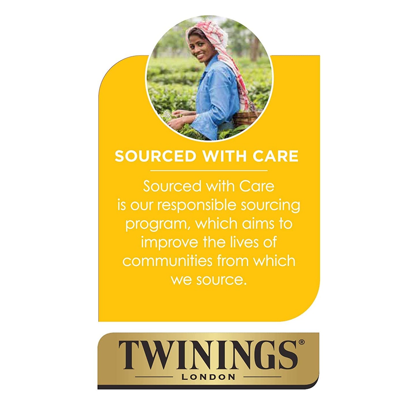 Twinings Decaffeinated Green Tea K-Cup Pods for Keurig, 24 Count (Pack of 1), Smooth Flavour, Enticing Aroma, Enjoy Hot or Iced
