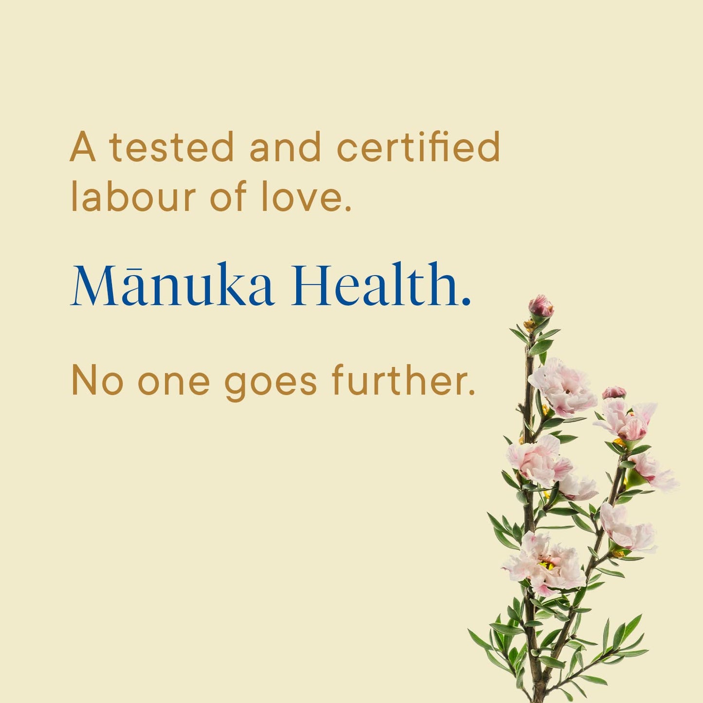 MANUKA HNY GO MGO 115 (1x12.00)