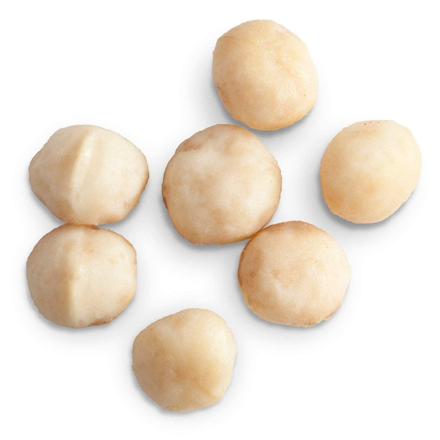 Fruidles Roasted & Salted Macadamia Raw Nuts, Natural Non-Gmo, Gluten-Free, Healthy Fat, Emergency, Survival Food, 2-Pounds
