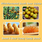 Chewy Sour Jujube Cake Candy, Natural Fruit Jelly, Sour & Sweet Jujube Fruit Leather, Individually Wrapped, Vegan, Rich In Vitam