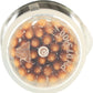 Preserve Mint Tea Tree Toothpicks (Set Of 4)