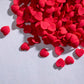 NIPEOR Jumbo Heart-Shaped Sprinkles for Cake Decorating, 100g Edible Valentine’s Day Candy, Red Heart
