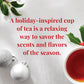 The Republic of Tea Comfort and Joy Tea, Holiday Spice Blend, 50 Tea Bags, Naturally Caffeinated