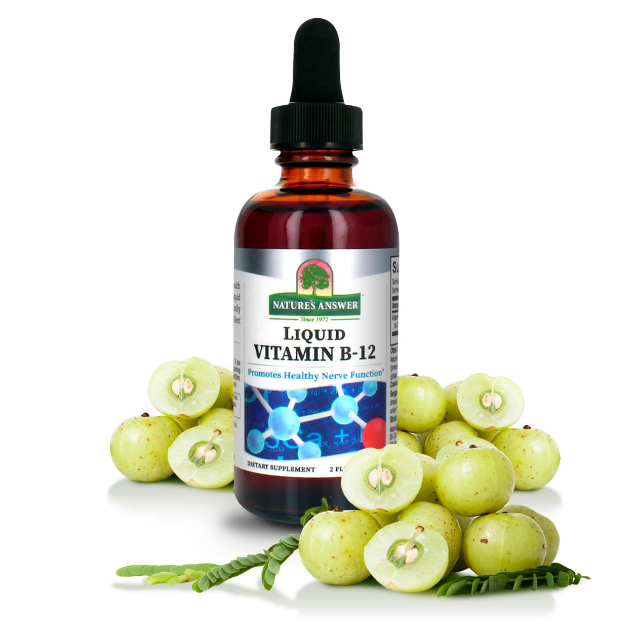 Natures Answer Liquid Vitamin B-12 | Promotes Healthy Nerve Function & Energy Levels | Naturally Flavored & Gluten-Free 2oz