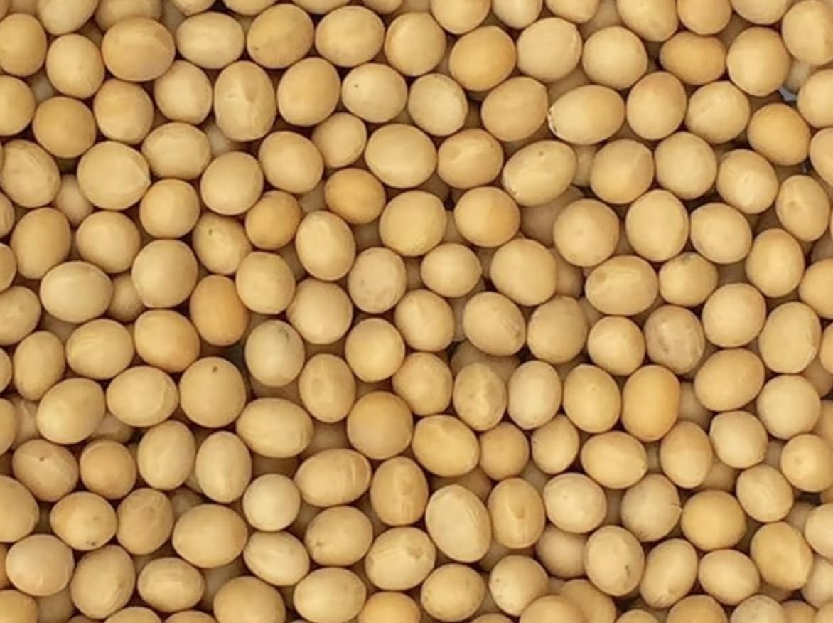 Premium Non-GMO Soybeans - 3 Lbs - Perfect for Soy Milk, Tofu, Natto - 100% Product of USA (Newest Crop)