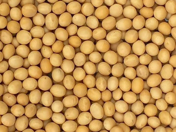 Premium Non-GMO Soybeans - 3 Lbs - Perfect for Soy Milk, Tofu, Natto - 100% Product of USA (Newest Crop)