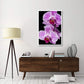 Orchid Flowering, Beveren-Waas, Belgium-Paper Art-34''X50''