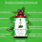 Sva Organics Camphor Essential Oil (118 Ml)- 100% Pure And Natural Therapeutic Grade Essential Oil | Perfect For Aromatherapy, R