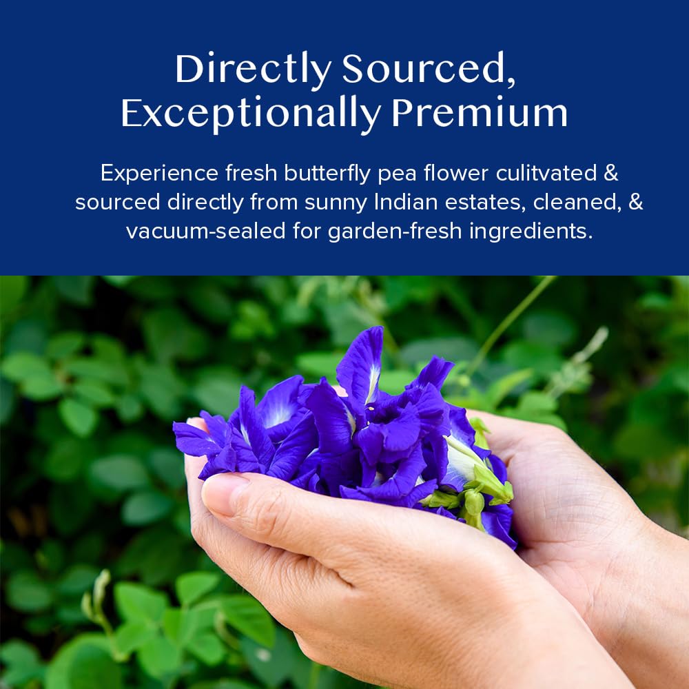 Vahdam, Butterfly Pea Flower Tea (1.76Oz) 100+ Cups | Delicate & Earthy | Vacuum Sealed For Freshness | Butterfly Pea Flower Loose Leaf Tea | Brew Iced Tea, Cooking, Mocktails & Cocktails