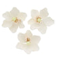Global Sugar Art Poppy Anemone Sugar Cake Flowers, 3 Count, Sugar-Based, White with Green Center