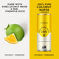 100 Coconuts Pineapple Pure Coconut-100% Pure Coconut Water - Low Calorie All-Natural Drink With Electrolytes - Naturally Sweet,