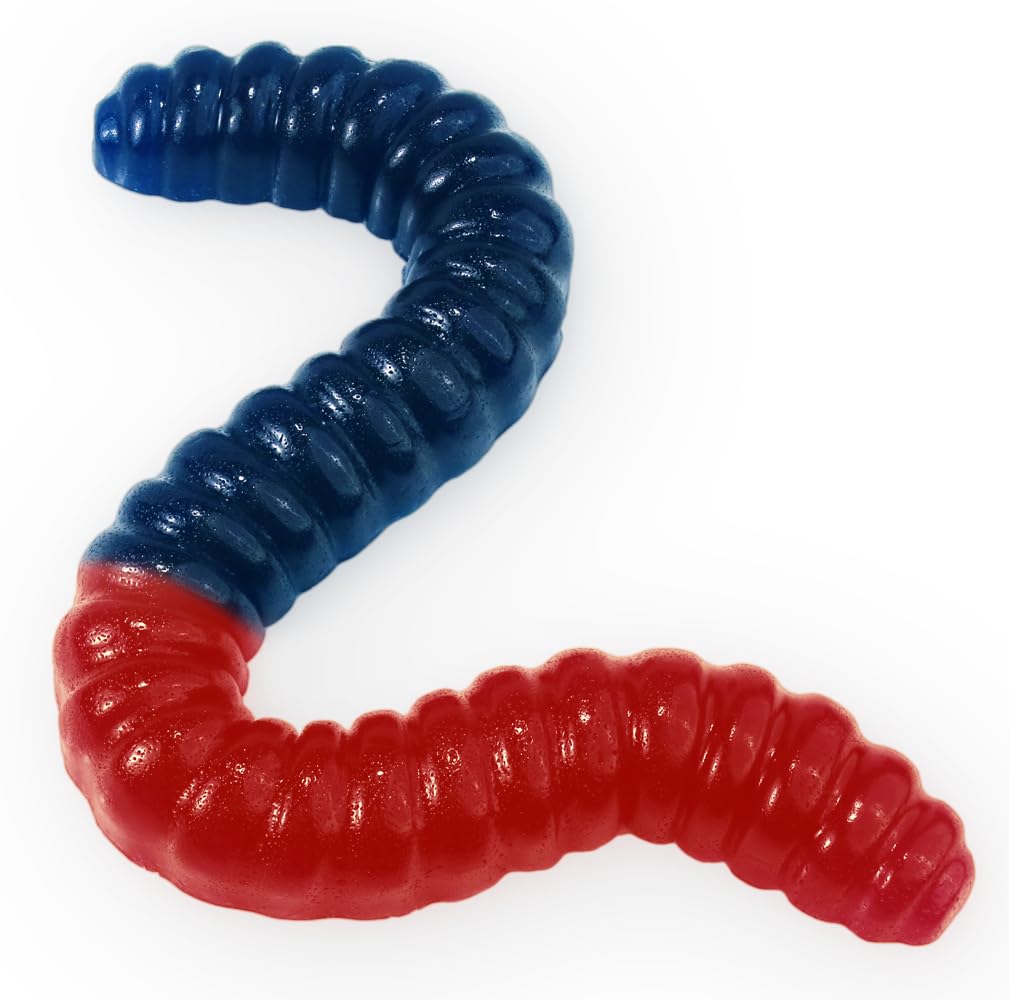 Giant Gummy Worm - Large 2 Pound Gummy Candy with Big Fruity Flavor from GGB Candies (Cherry/Blue Raspberry)