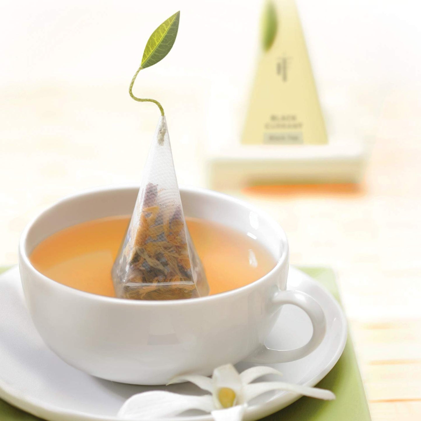 Tea Forte Jardin Organic Fruit, Herb And Flower Teas, Petite Presentation Box Tea Sampler Gift Set With 10 Handcrafted Pyramid Tea Bag Infusers