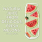 CoCo Joy 100% Natural Watermelon Juice, (12-Pack) Low-Calorie Watermelon Drink